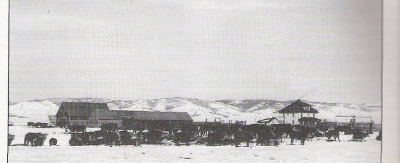 jensenranch.jpg